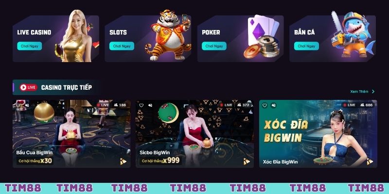 Sứ mệnh đảm bảo sự công bằng trên trang web